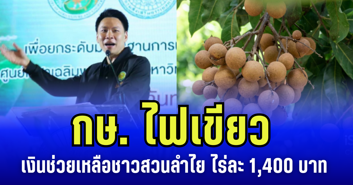 กระทรวงเกษตรฯ ไฟเขียว เงินช่วยเหลือชาวสวนลำไย ไร่ละ 1,400 บาท ไม่เกิน 10 ไร่